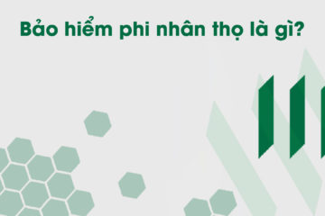 bao-hiem-phi-nhan-tho-la-gi